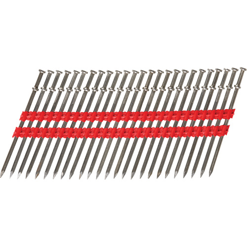 Clous Duplex coll&eacute;s 16D Canadian Safety Group Inc.