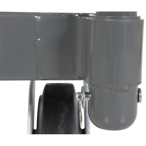 Platform Truck, 48" L x 24" W, 2000 lbs. Capacity, Rubber Casters Canadian Safety Group Inc.