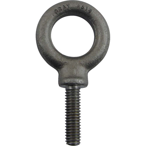 Alloy Steel Eye Bolt, 1" Dia., 1-1/4" L, 1480 lbs. (0.74 tons)/1480 lbs. Capacity Canadian Safety Group Inc.
