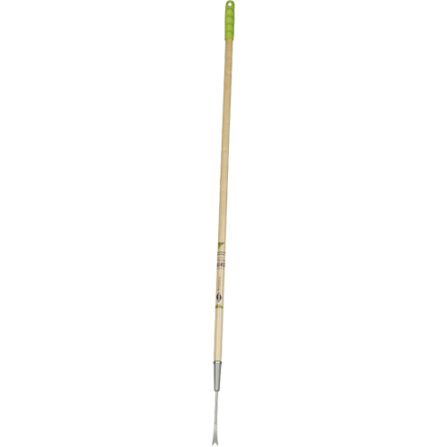 Dandelion Weeder Canadian Safety Group Inc.