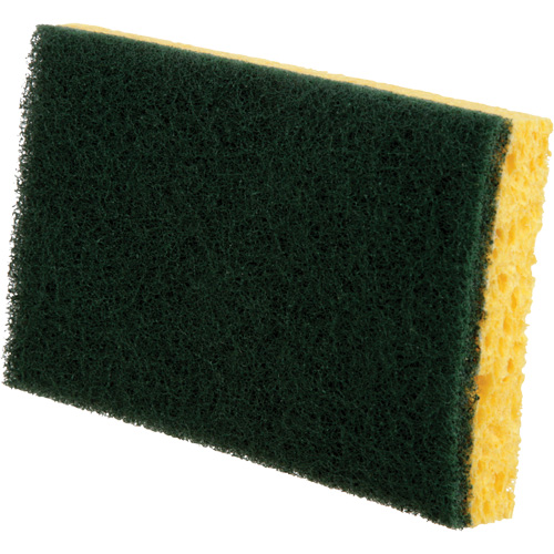 Utility Sponges, Cellulose, 6" W x 3-1/2" L Canadian Safety Group Inc.