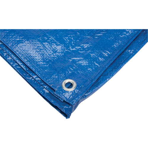 Tarp, Standard Duty, Blue, 7' x 5' x 4 mils Canadian Safety Group Inc.