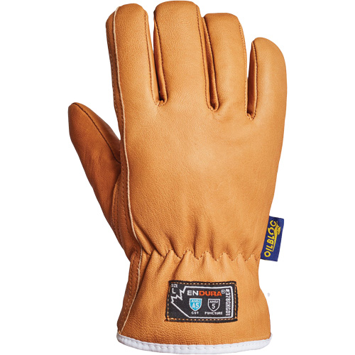 Endura&reg; Gloves, Large, Synthetic Palm, Thinsulate Inner Lining Canadian Safety Group Inc.