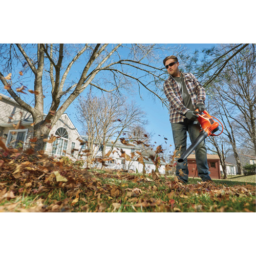 3-in-1 VacPack Leaf Blower/Vacuum/Mulcher, 250 MPH Output, Electric Canadian Safety Group Inc.