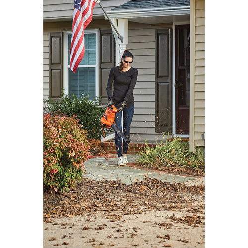 3-in-1 VacPack Leaf Blower/Vacuum/Mulcher, 250 MPH Output, Electric Canadian Safety Group Inc.
