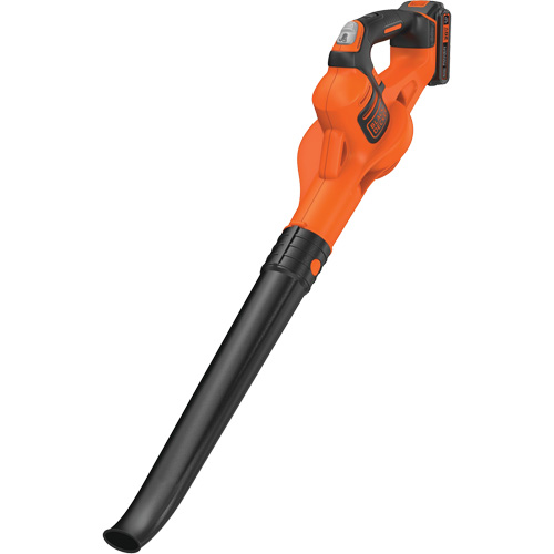 Ensemble de balayeuse sans fil Max* PowerBoost, 20 V, Vitesse d'air 130 mi/h, &agrave; pile Canadian Safety Group Inc.