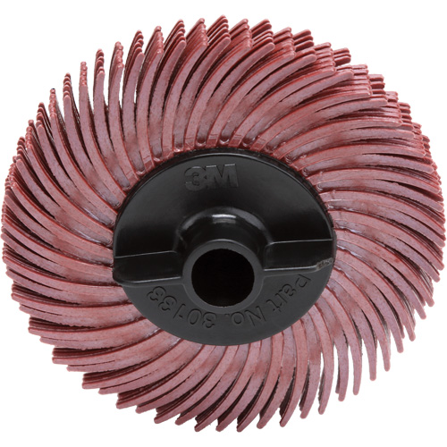 Scotch-Brite Radial Bristle Disc, RB-ZB, Ceramic, 220 Grit, 2" Dia. Canadian Safety Group Inc.
