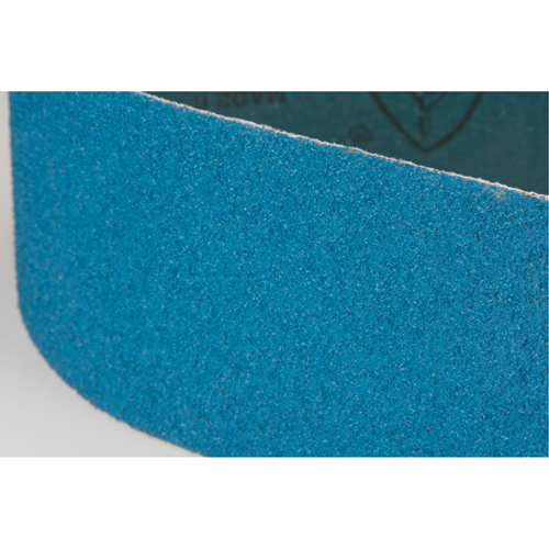 Blue Abrasive Belt Canadian Safety Group Inc.