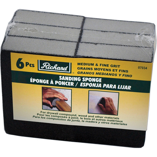 Sanding Sponge Canadian Safety Group Inc.
