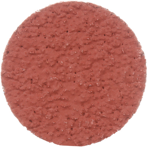 Disque &agrave; d&eacute;ligner durable II Roloc Cubitron, 2" dia., Grain 36+, C&eacute;ramique Canadian Safety Group Inc.