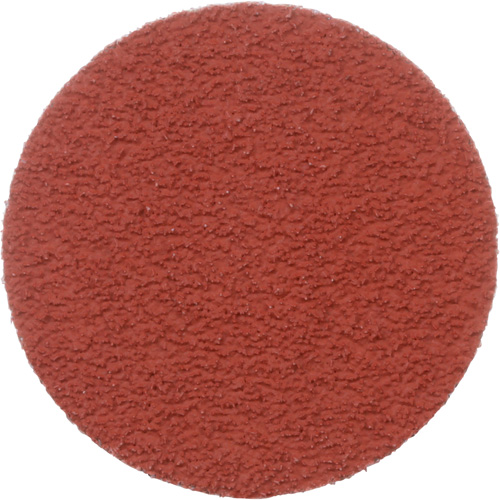 Disque &agrave; d&eacute;ligner durable II Roloc Cubitron, 2" dia., Grain 60+, C&eacute;ramique Canadian Safety Group Inc.