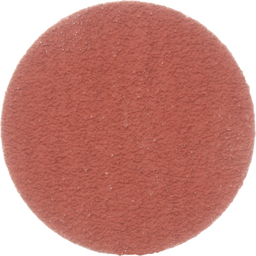 Cubitron II Roloc Durable Edge Disc, 2" Dia., 80+ Grit, Ceramic Canadian Safety Group Inc.