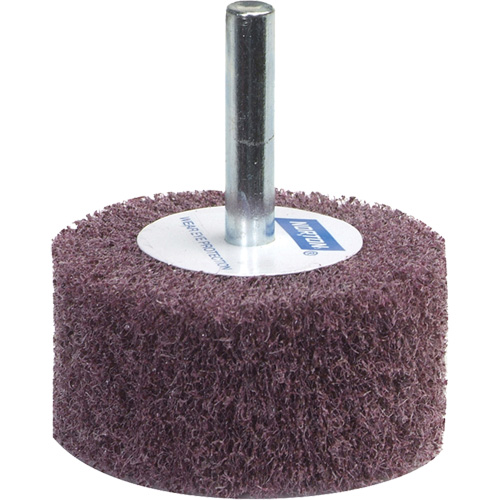 Meule &agrave; lamelles abrasives Bear-Tex Canadian Safety Group Inc.