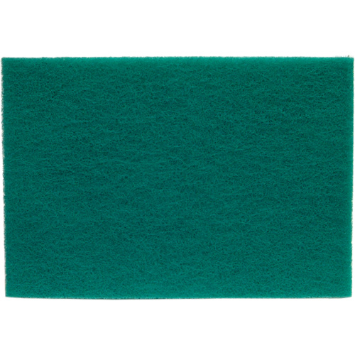 Tampons manuels Bear-Tex, Oxyde d'aluminium, 6" x 9", Grain Tr&egrave;s fin Canadian Safety Group Inc.