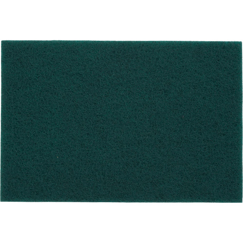 Tampons manuels Bear-Tex, Oxyde d'aluminium, 6" x 9", Grain Tr&egrave;s fin Canadian Safety Group Inc.