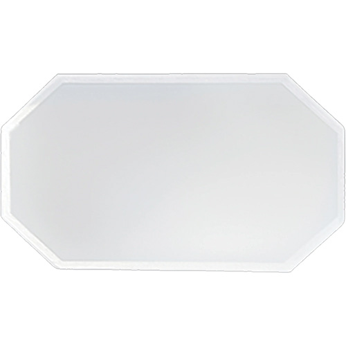 Replacement Plastic Shield for Suction & Pressure Cabinets Canadian Safety Group Inc.