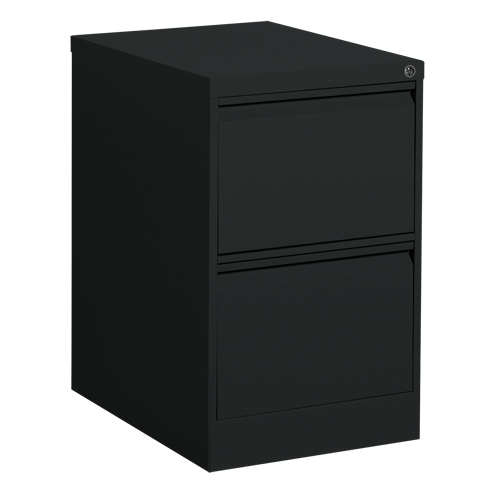 Vertical Filing Cabinet, Steel, 2 Drawers, 18-1/7" W x 25" D x 29" H, Black Canadian Safety Group Inc.