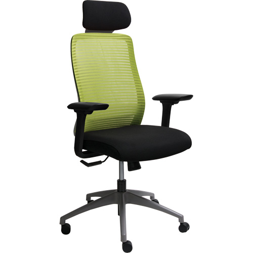 Chaise de bureau ajustable s&eacute;rie Era avec appui-t&ecirc;te, Tissu/Mailles, Vert, Capacit&eacute; 275 lb Canadian Safety Group Inc.