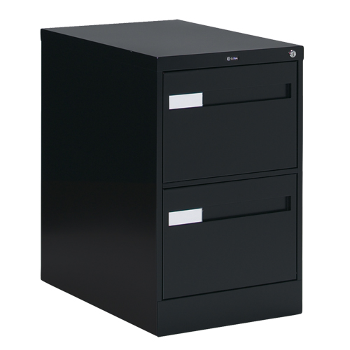 Vertical Filing Cabinet with Recessed Drawer Handles, 2 Drawers, 18.15" W x 26.56" D x 29" H, Black Canadian Safety Group Inc.