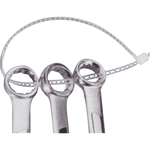 Ladder Ties, 7" Long, 40 lbs. Tensile Strength, Natural Canadian Safety Group Inc.