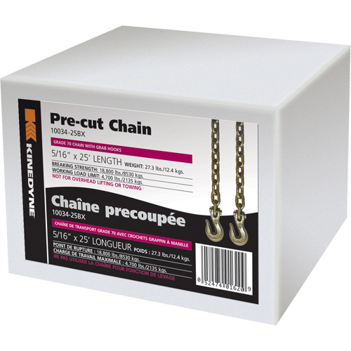 Chaînes Canadian Safety Group Inc.