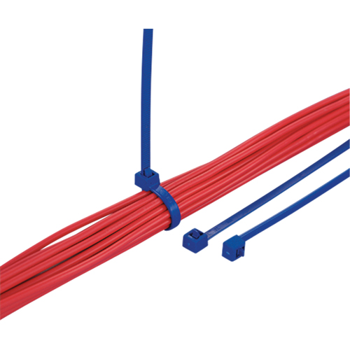 Metal Detectable Cable Ties, 5-9/10" L, 30 lbs. Tensile Strength Canadian Safety Group Inc.