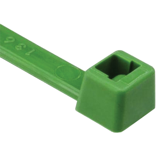 T Series Cable Ties, 8" Long, 50 lbs. Tensile Strength, Green Canadian Safety Group Inc.