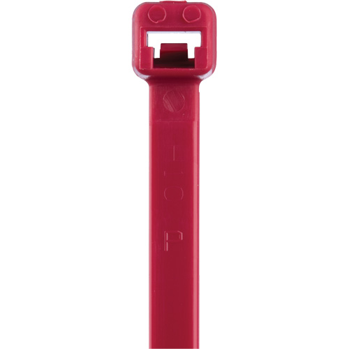 T Series Cable Ties, 8" Long, 50 lbs. Tensile Strength, Red Canadian Safety Group Inc.