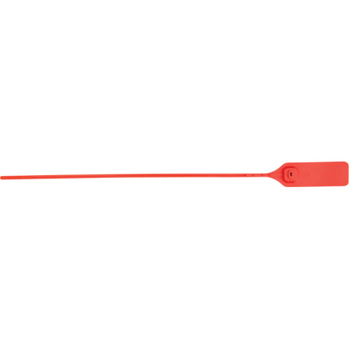 Scell&eacute; de s&eacute;curit&eacute; robuste, 13", Plastique, Scell&eacute; &agrave; tirer Canadian Safety Group Inc.