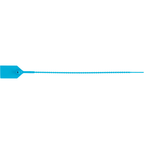 Scell&eacute; de s&eacute;curit&eacute; standard, 12", Plastique, Scell&eacute; en plastique Canadian Safety Group Inc.