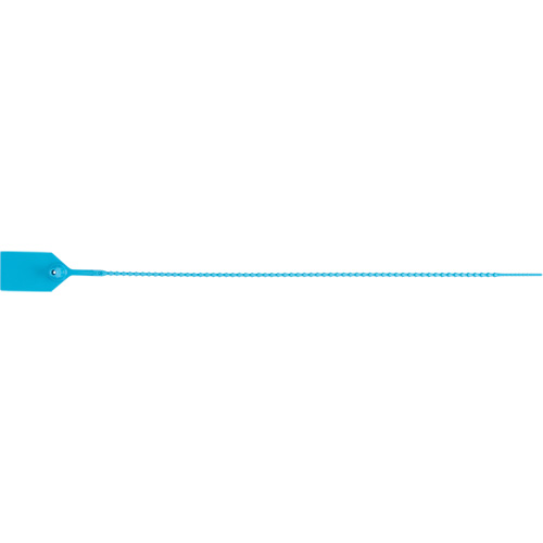 Scell&eacute; de s&eacute;curit&eacute; standard, 15", Plastique, Scell&eacute; en plastique Canadian Safety Group Inc.