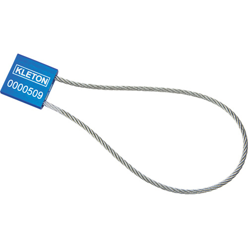 Scell&eacute;s de haute s&eacute;curit&eacute;, 12", M&eacute;tal, Scell&eacute; &agrave; c&acirc;ble Canadian Safety Group Inc.
