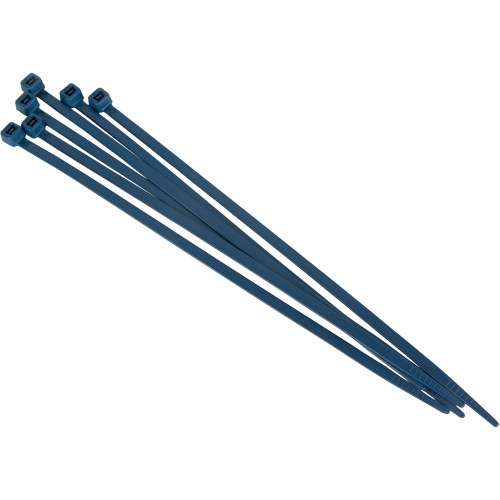 Attache-c&acirc;ble magn&eacute;tique, 8" lo, R&eacute;sistance &agrave; la traction 120 lb Canadian Safety Group Inc.