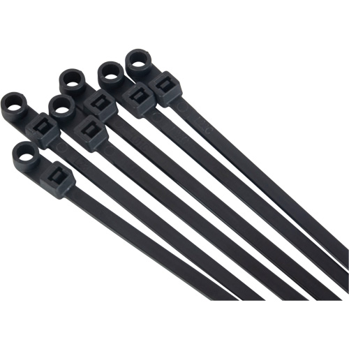 Attache-c&acirc;ble &agrave; visser, Longueur 8", R&eacute;sistance &agrave; la traction 50 lb, Noir Canadian Safety Group Inc.