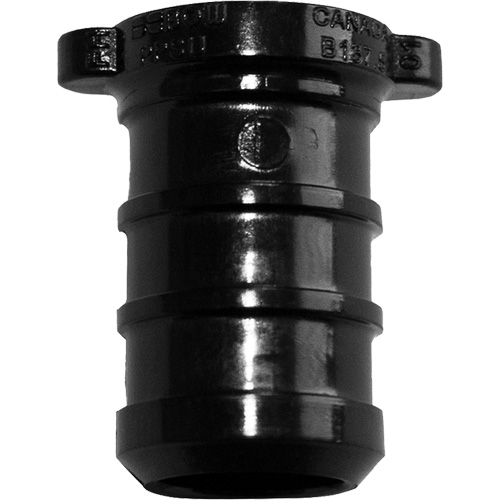 Pipe Plug, Pipe, 3/4" Dia., Polyalloy Canadian Safety Group Inc.