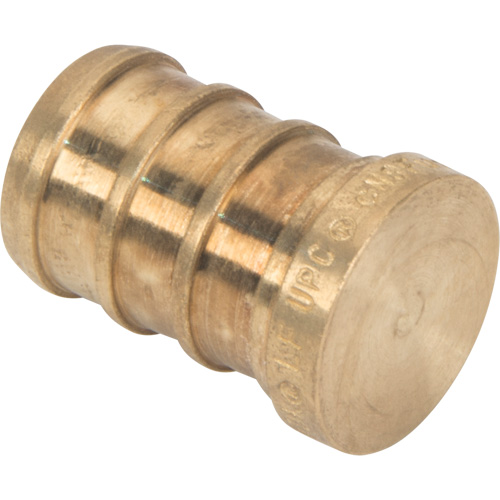 Lead-Free Pipe Plug, Pipe, 1/2" Dia., Brass Canadian Safety Group Inc.