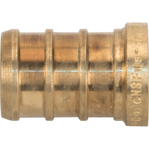 Lead-Free Pipe Plug, Pipe, 1/2" Dia., Brass Canadian Safety Group Inc.