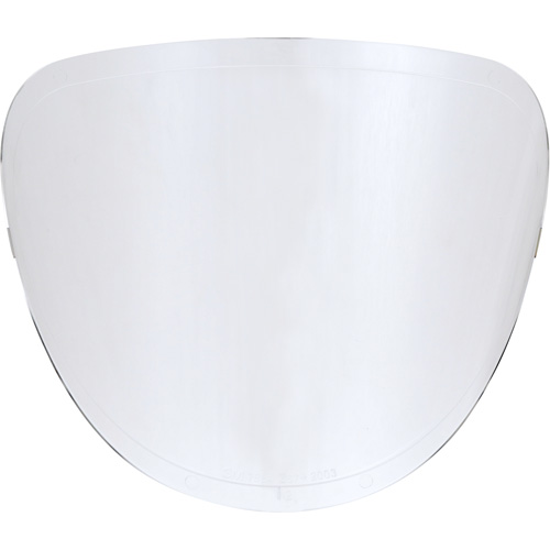 Replacement Lenses Canadian Safety Group Inc.