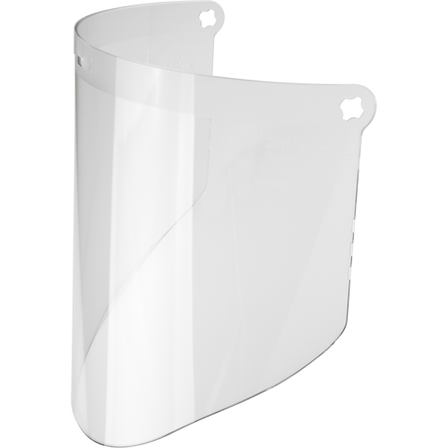 Visi&egrave;re WP96 de rechange, Polycarbonate, Teinte Transparent Canadian Safety Group Inc.
