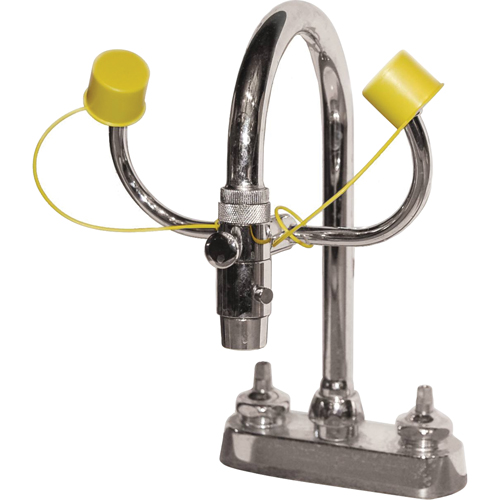 Eyewash Station, Sink Mount Installation Canadian Safety Group Inc.