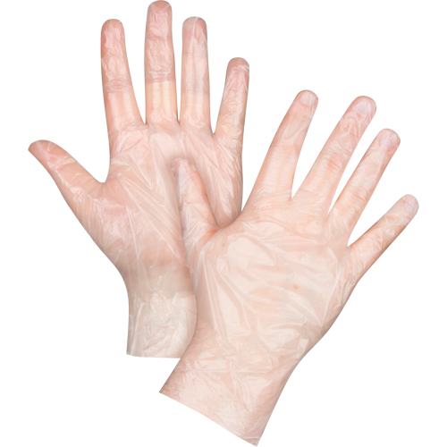 Economy Disposable Gloves, Small, Polyethylene, 1-mil, Powder-Free, Clear Canadian Safety Group Inc.