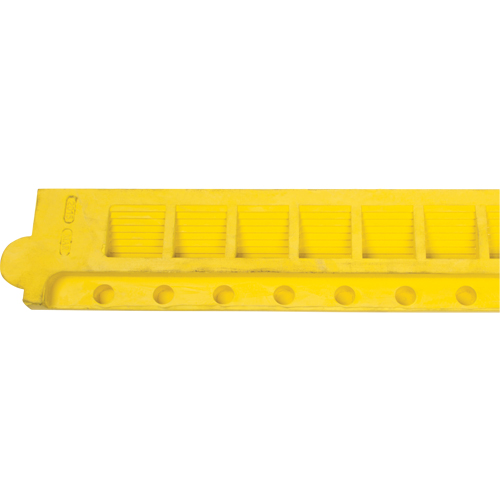 Rampe de bordure pour tapis Canadian Safety Group Inc.