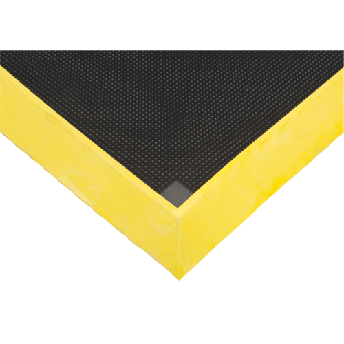 Foot Sanitizing Matting, Rubber, 2-2/3' W x 3-1/4' L x 2-1/2" Thick, Yellow Canadian Safety Group Inc.