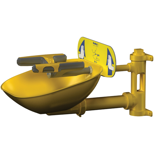 Halo Face/Eyewash Stations, Wall-Mount Installation, Plastic Bowl Canadian Safety Group Inc.