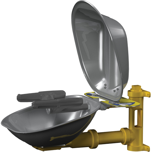 Halo Face/Eyewash Stations, Wall-Mount Installation, Stainless Steel Bowl Canadian Safety Group Inc.