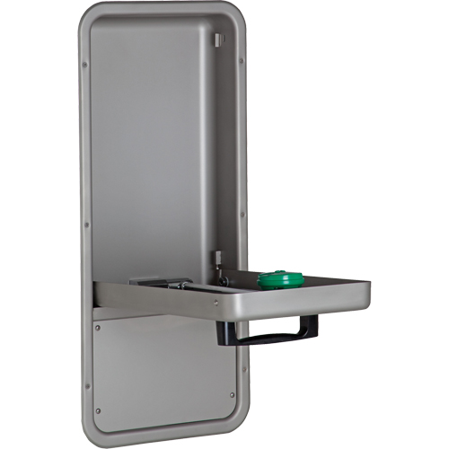 Eye/Face Wash Station, Wall-Mount Installation, Stainless Steel Bowl Canadian Safety Group Inc.