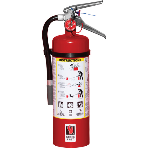 Extincteur d'incendie, ABC, Capacit&eacute; 5 lb Canadian Safety Group Inc.