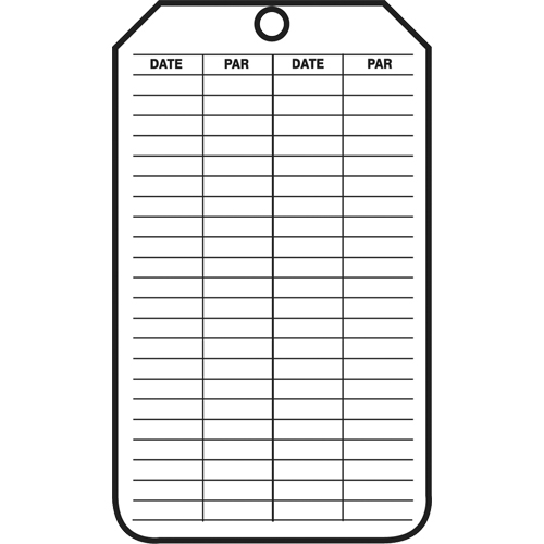 Inspection Tags, Plastic, 3-1/8" W x 5-7/8" H, French Canadian Safety Group Inc.