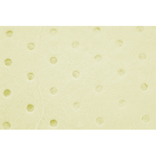 Industrial-Grade Fine Fibre Sorbent Rolls, Heavyweight, 150' L x 15" W, 35 Gal. Absorbancy Canadian Safety Group Inc.