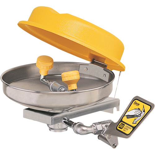 Eyewash Station, Wall-Mount Installation, Stainless Steel Bowl Canadian Safety Group Inc.